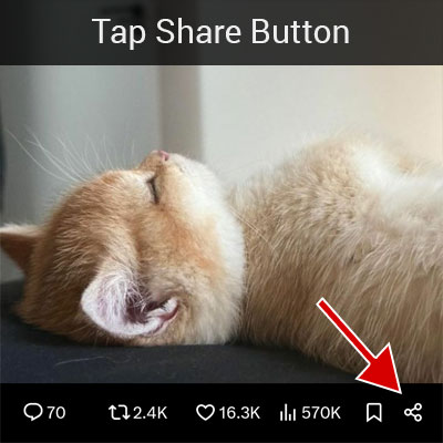Tap on the Share button