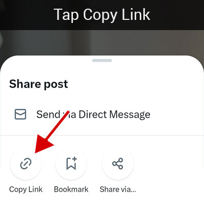 Tap on the Copy Link