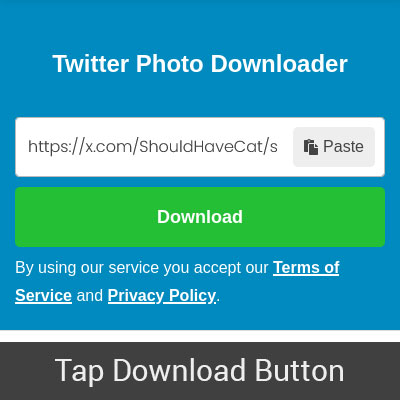 Tap on the Download button