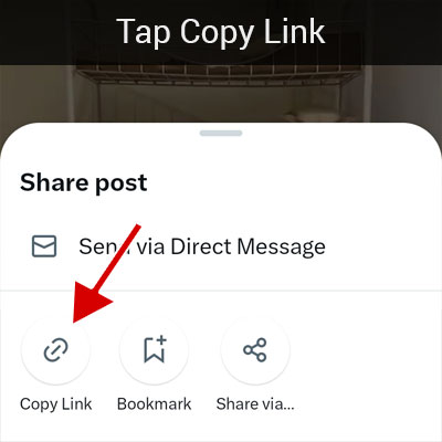 Copy Link from the tweet to save Twitter video or GIF