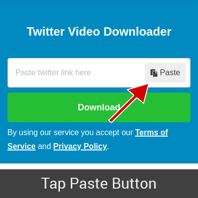 Paste tweet URL into the Twitter video downloader