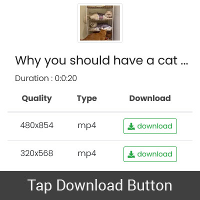 Select MP4 quality to download Twitter video